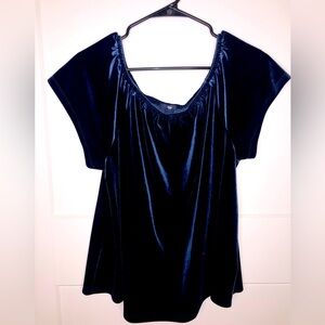 Blue Velvet Gap Top Size Large